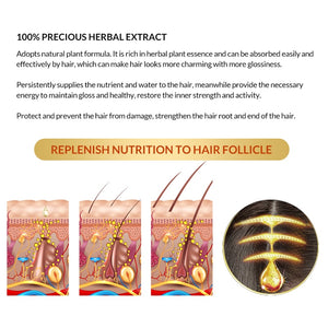 OMY LADY Anti Hair Loss Hair Growth Spray Essential Oil Liquid For Men Women Dry Hair Regeneration Repair Hair Loss Products|Hair Loss Products|