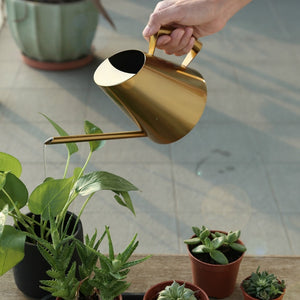 Stainless Steel Watering Pot Gardening Potted Small Watering Can Use Handle Perfect For Watering Flower Plants Shower For Garden|Water Cans|